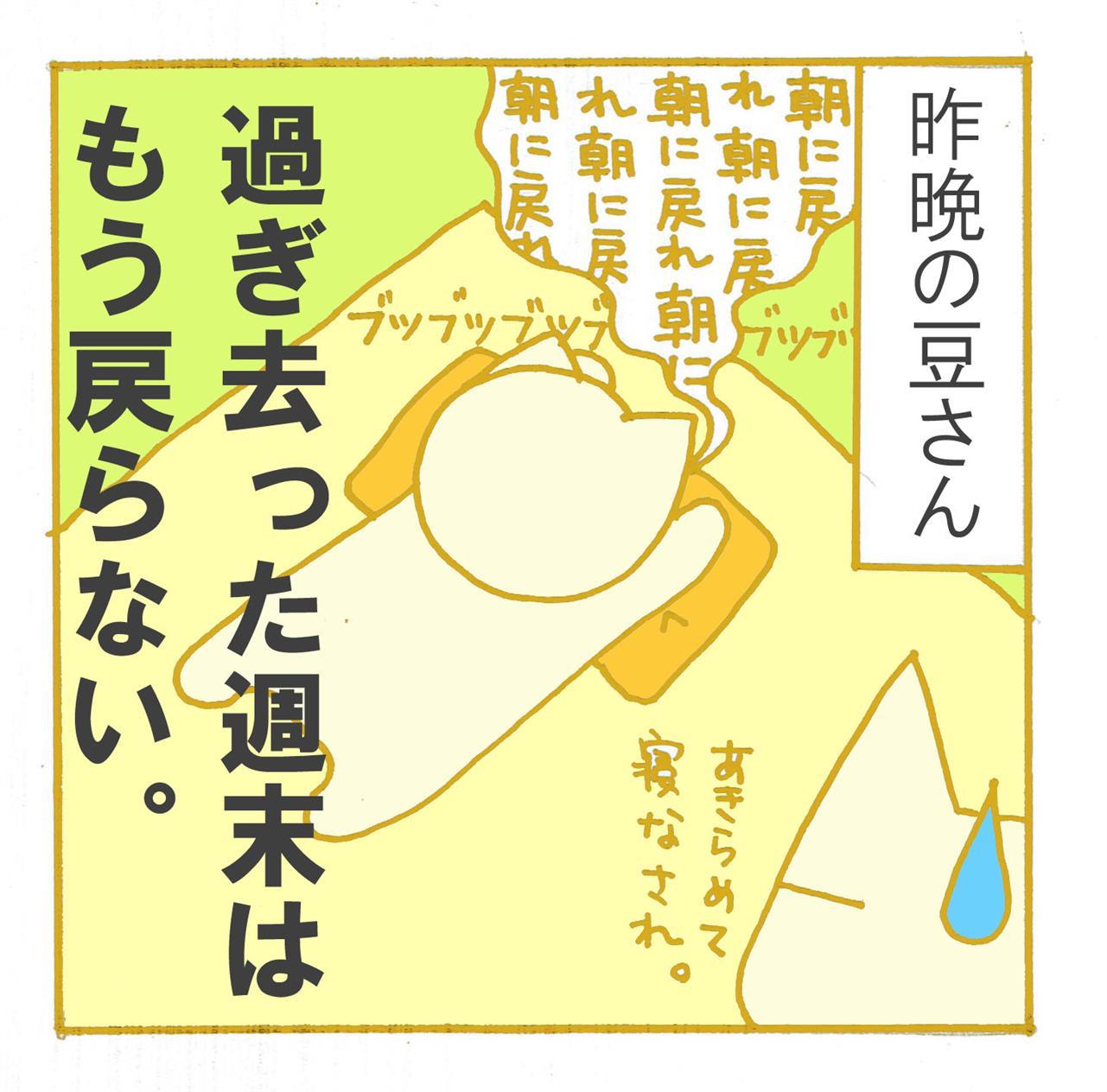 ほっと一息、月曜日(*´▽｀*)。