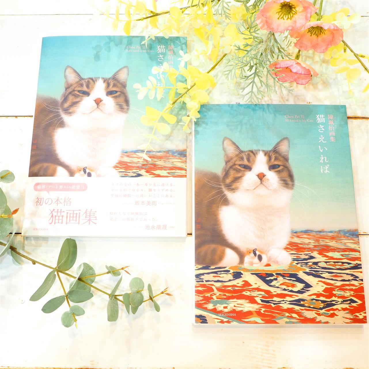 圧倒的な描写！猫好きにおススメしたい猫本です♪