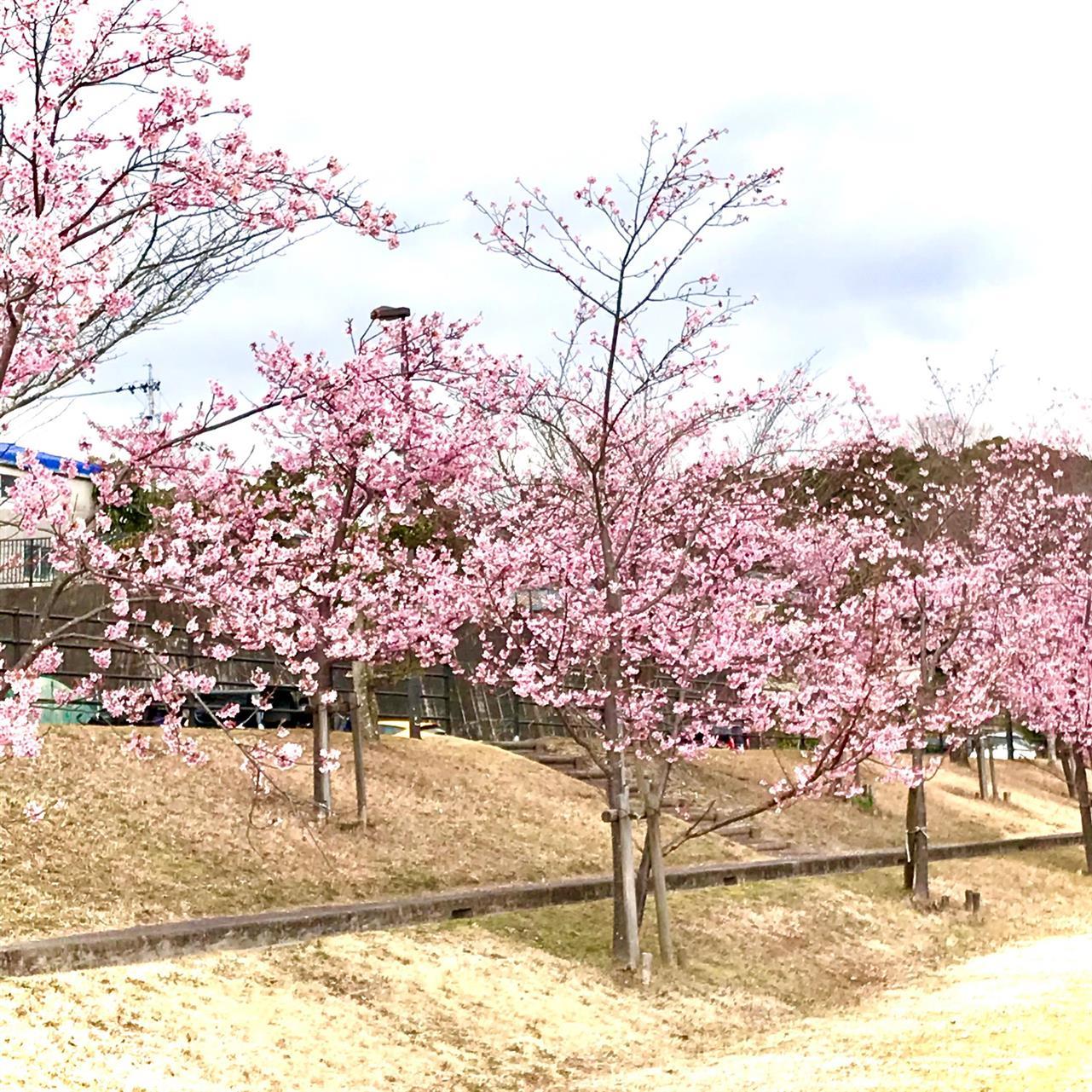 ３月の始まり～♪