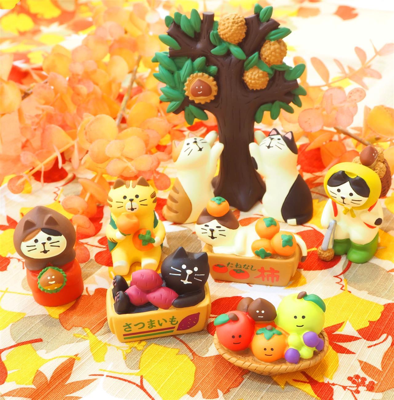 やってきました！concombreの「みのりの秋」