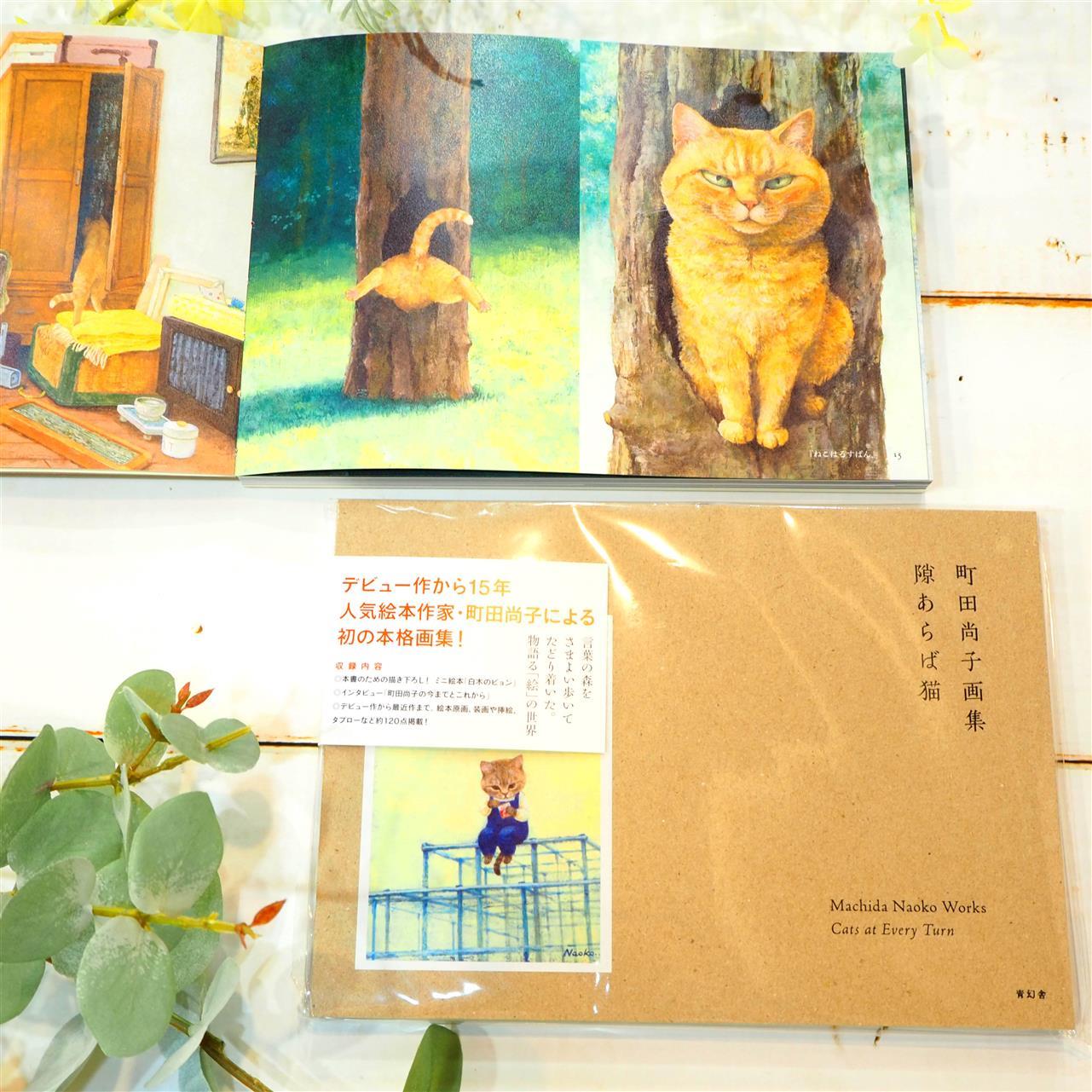 町田尚子さん画集！「隙あらば猫」