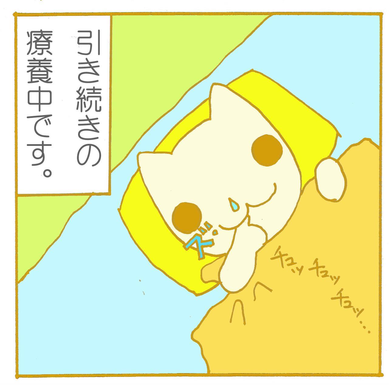 油断大敵RS