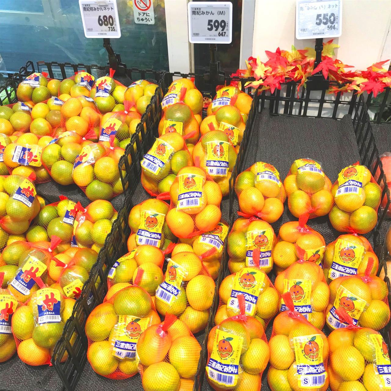 11月の臨時休業日のお知らせ