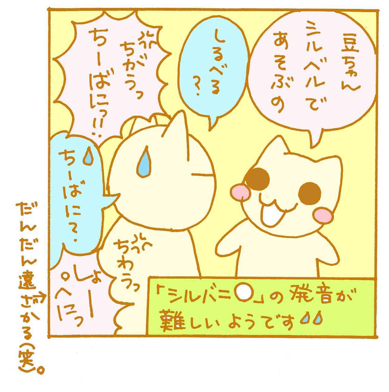 ・初めてのシルバ〇アファミリー♪