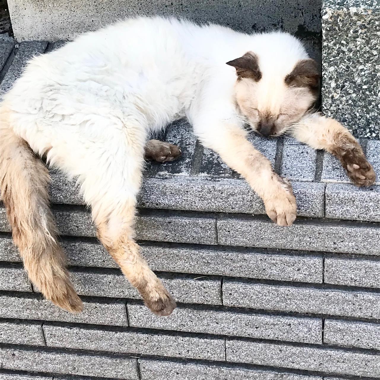 秋を待ちわびて。