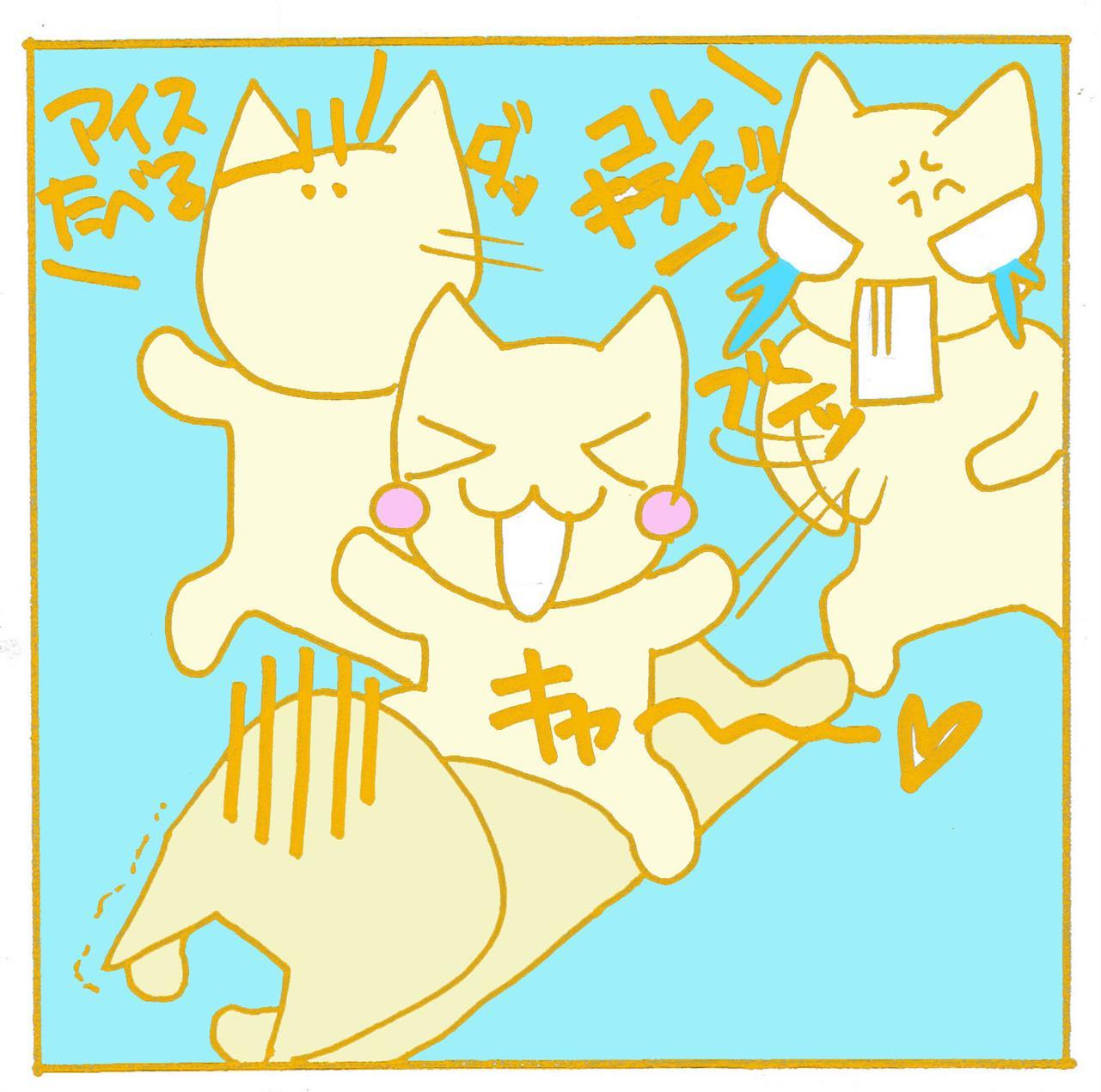 ワクチン１回目、無事終了です。