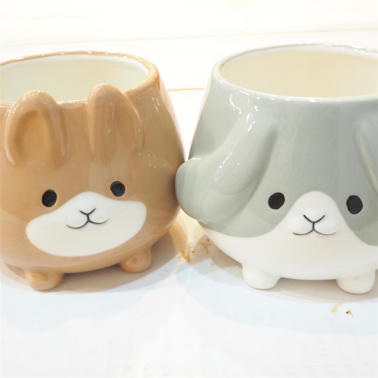 癒しのウサギマグ♪