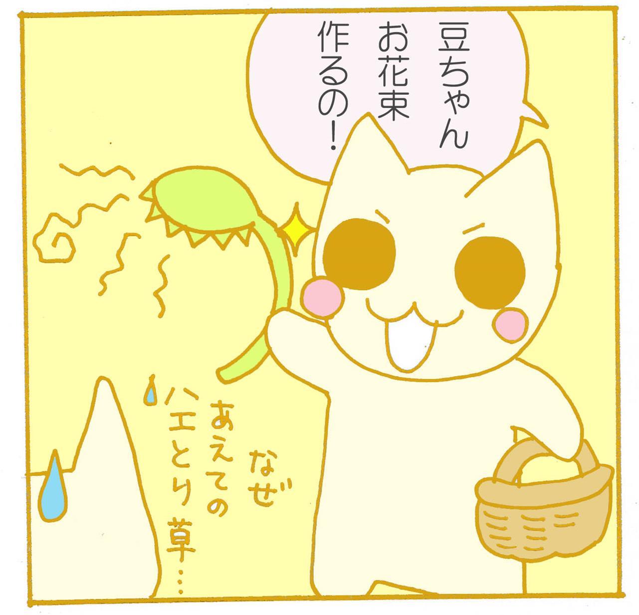 なぜ、それ！？？