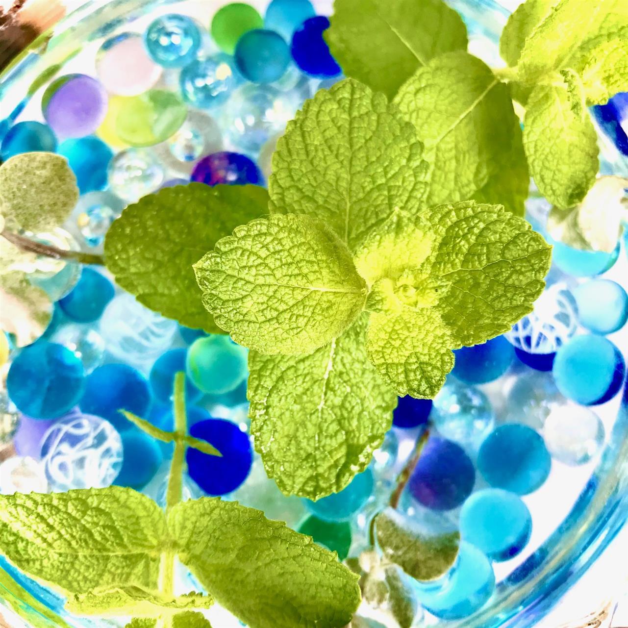 「伊勢市地元魅力発見・店舗応援商品券」のお取り扱いが始まりました♪