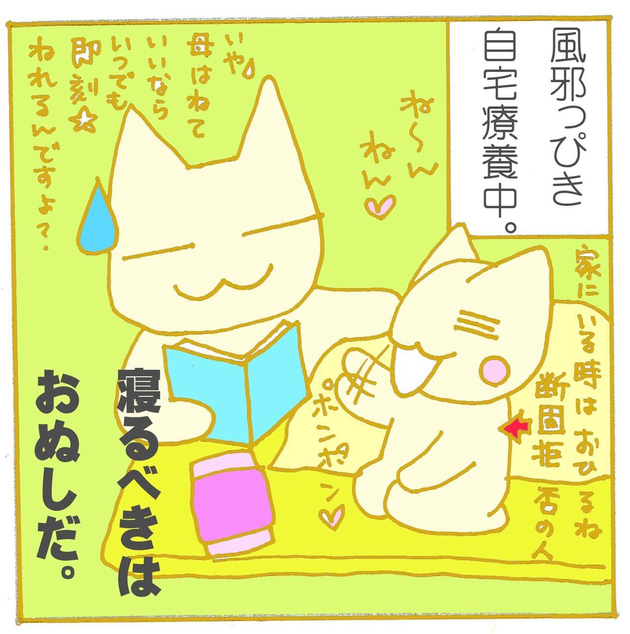 夏の疲れはいつとれる・・・・？