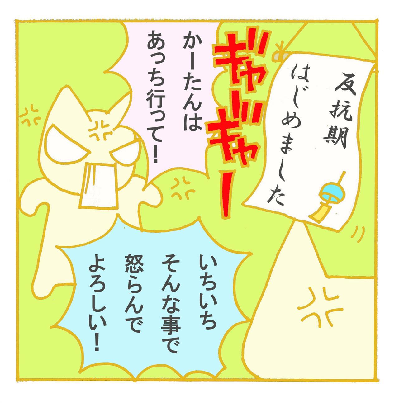 ついに・・・・！！