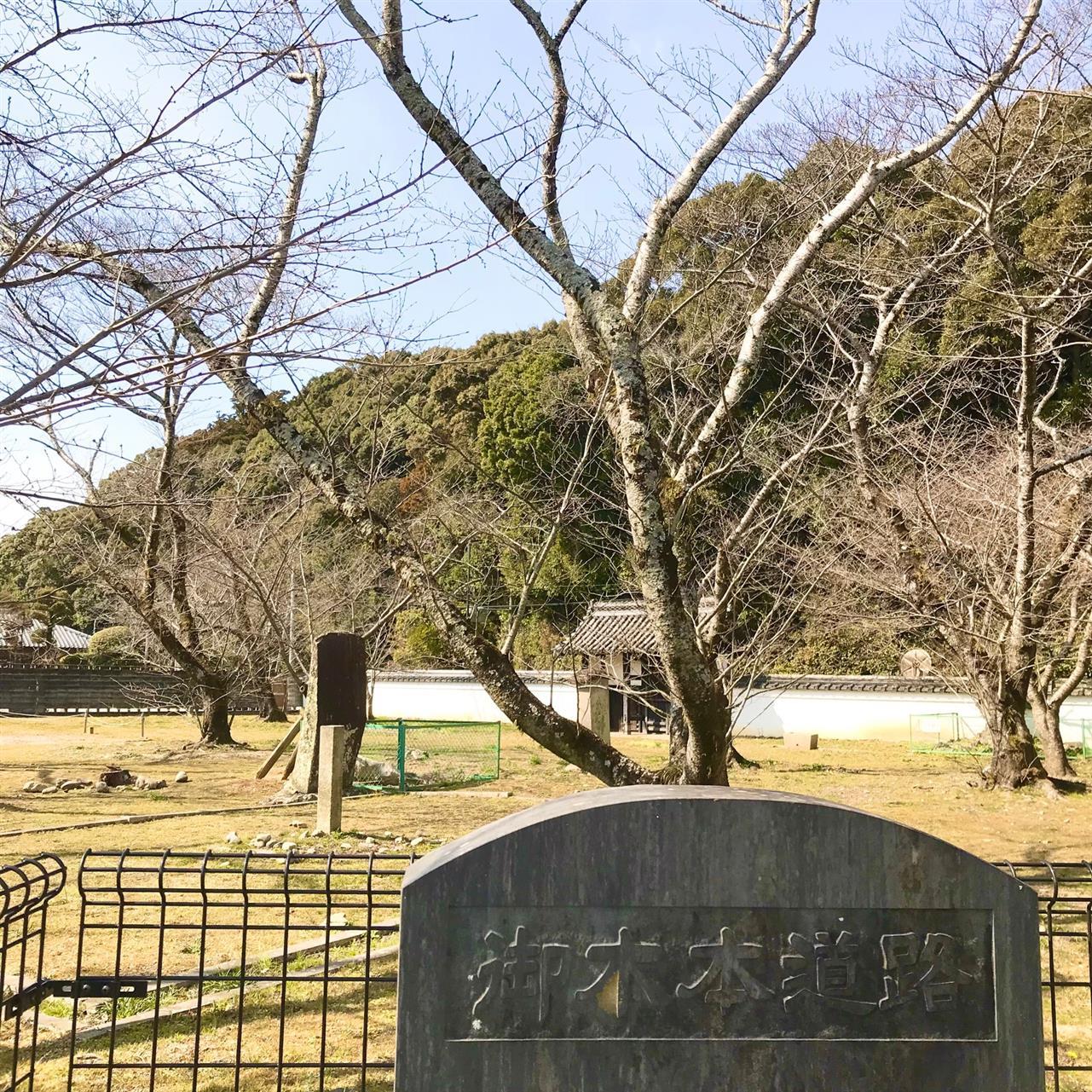 桜待ち。
