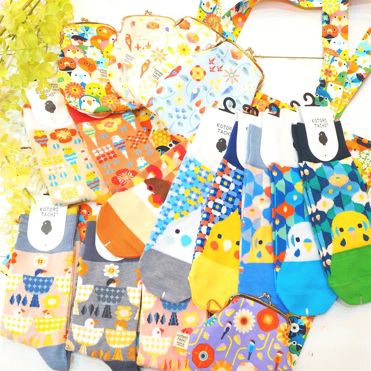 「KOTORITACHI」続きまして！