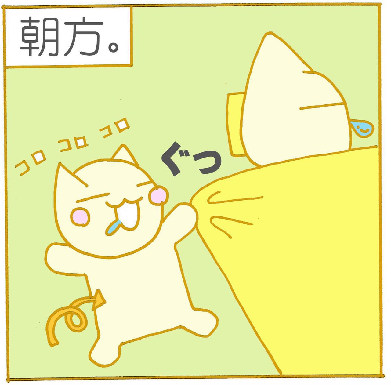掛布団泥棒。