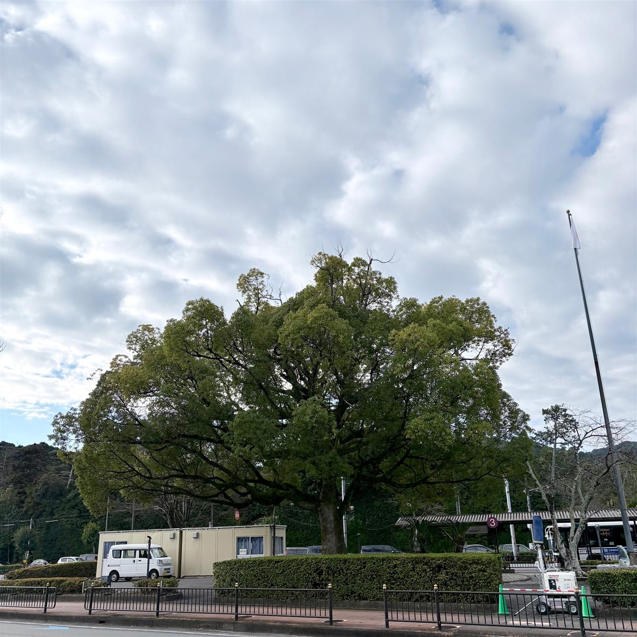 ゆるっと年越し準備。