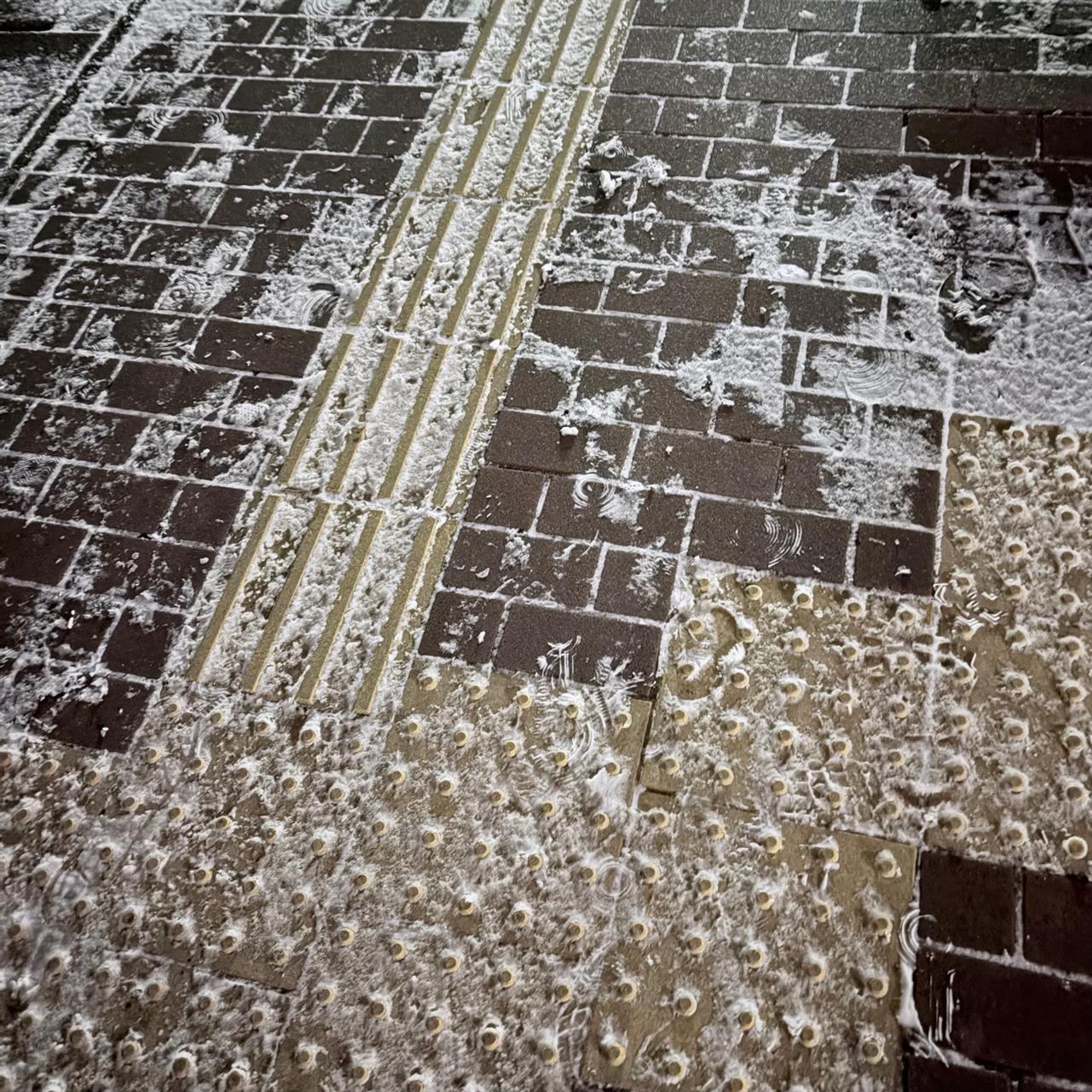 濱文様さんの新作 長トート