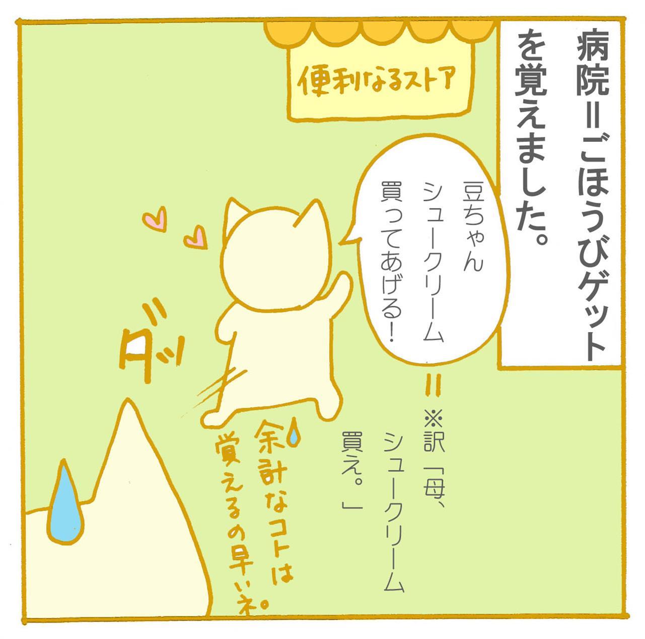 いつか母にもおごってくれ