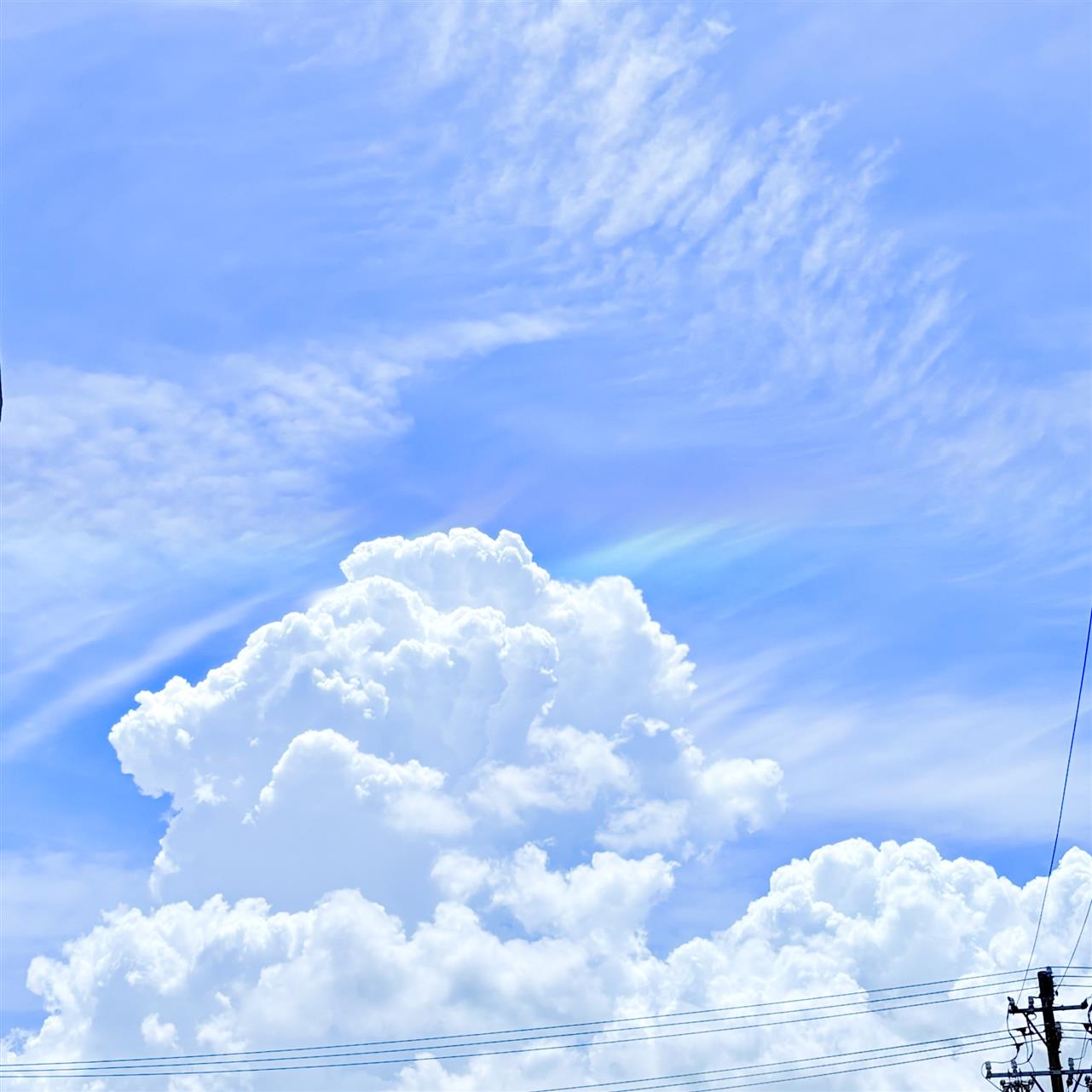 これぞ日本の夏！！