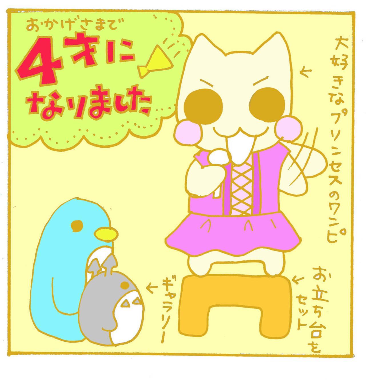 いつもご覧いただき、ありがとうございます！