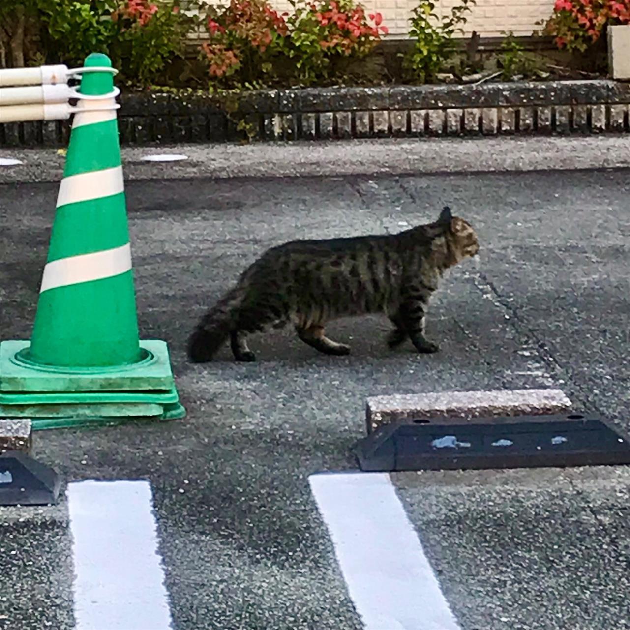 今日から１１月！