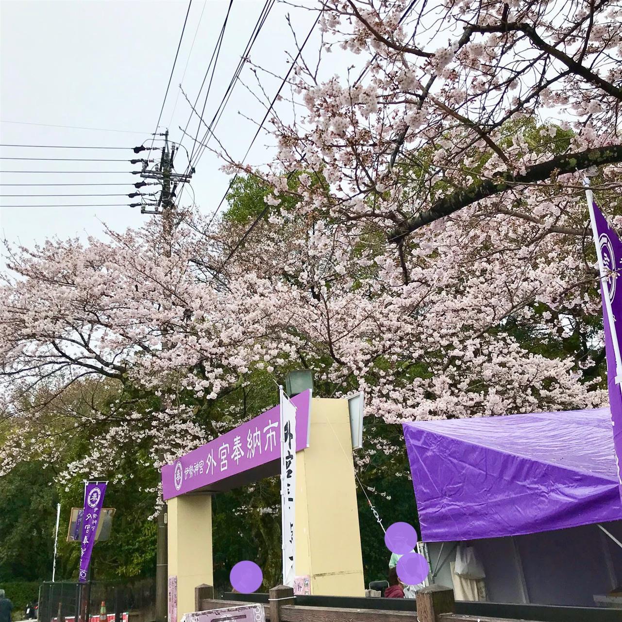 外宮奉納市♪