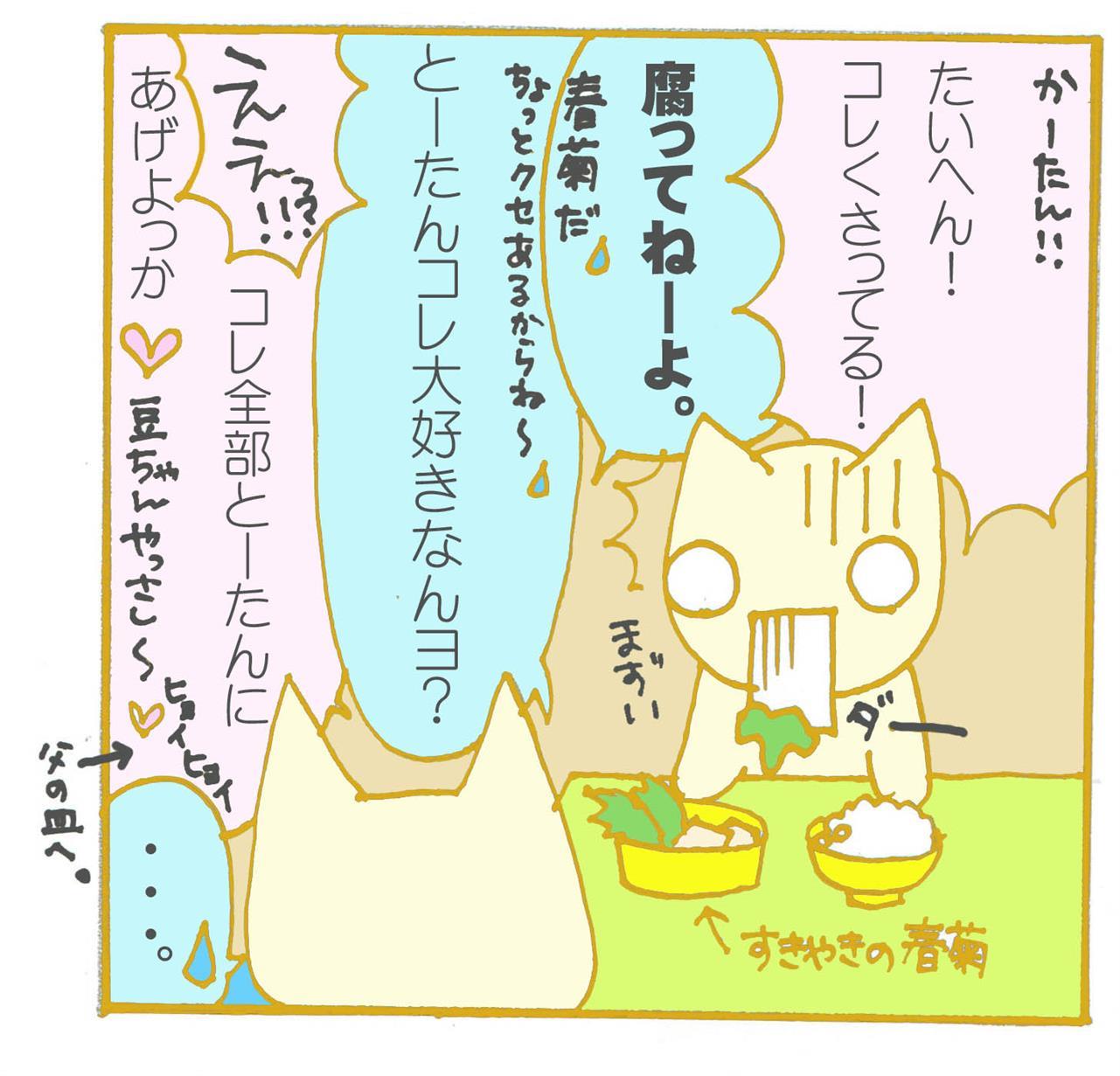 梅雨明け！！