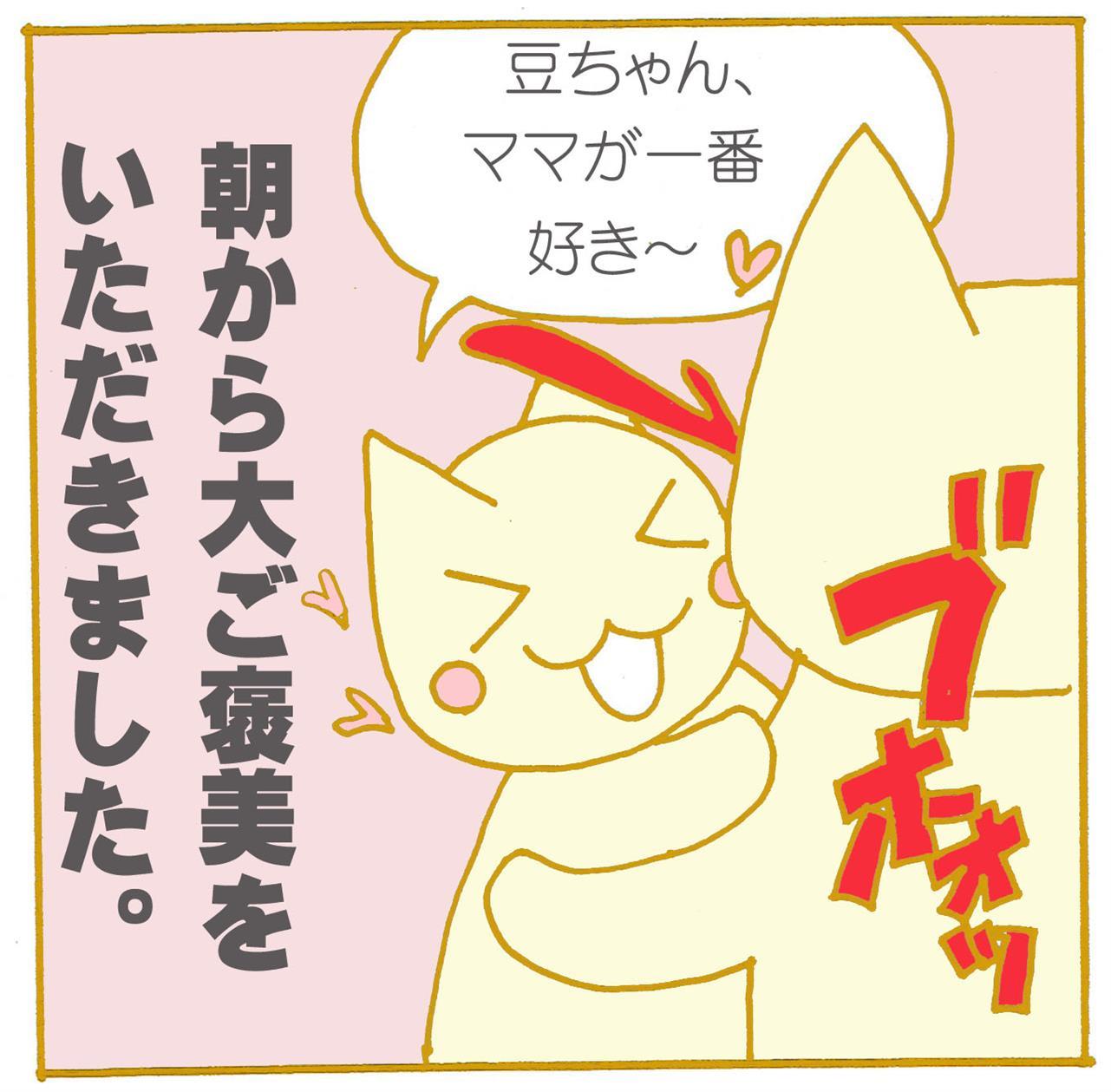 我が人生に一片の悔いなし