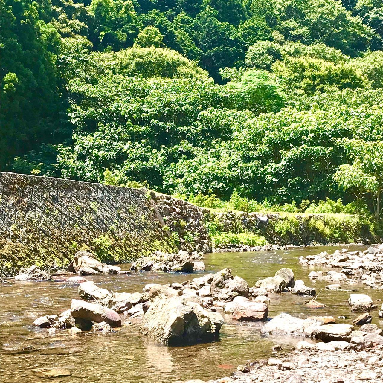 我が家の賽の河原